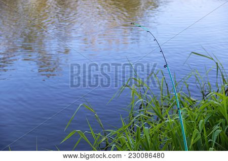 Green Feeder Fishing On River On A River. A Bow Of A Big Fish