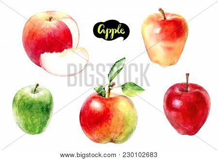 Apple Watercolor Illustration. Apple Whole, Apple Cut Isolated On White Background.