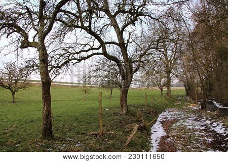 View Of A Rural Landscape In Winter