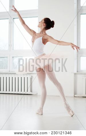 Gracefull ballerina in a dance studio.
