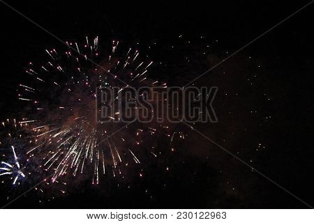 Celebration Firework In The Black Night Sky
