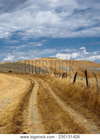 Country Landscape Along The Road From Asciano To Torre A Castello, Siena, Tuscany, Italy, At Summer