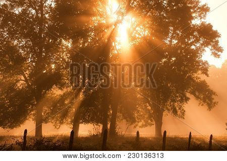 Sunrise At A Farm In Villarrica, Pucon, Araucania Region, Chile, South America