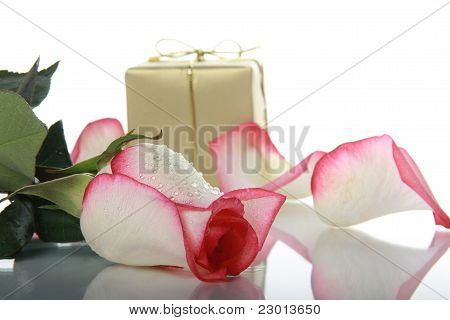 Rose And Golden Box