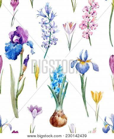 Beautiful Seamless Pattern With Watercolor Hand Drawn Springcrocuses Hyacinths Irises Flowers
