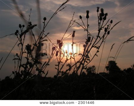 Tramonto