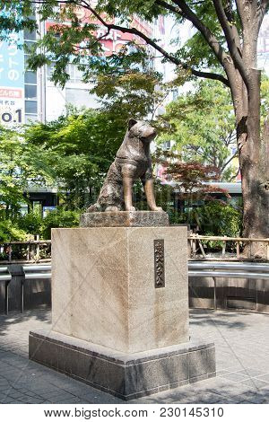 Tokyo, Japan - April 29, 2017 : Hachiko Dog Statue In Front Of Shibuya Station, Tokyo. This Is The L