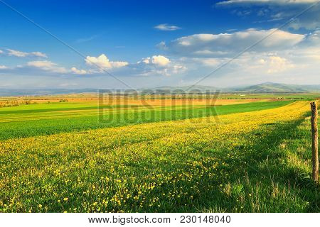 Spring Landscape