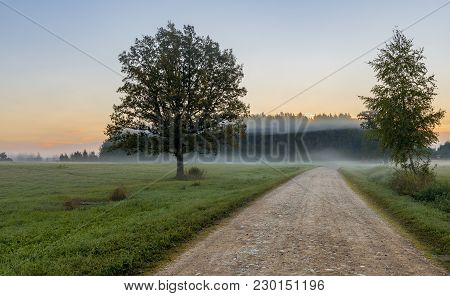 Countryside Road At The Early Morning In Gauja National Nature Park, Vidzeme District, Latvia. Conce