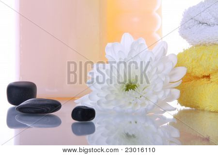 Heath Spa And Flower