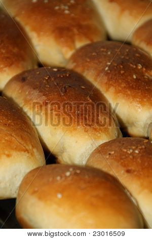Newly-baked Pies