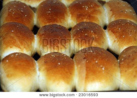 Newly-baked Pies