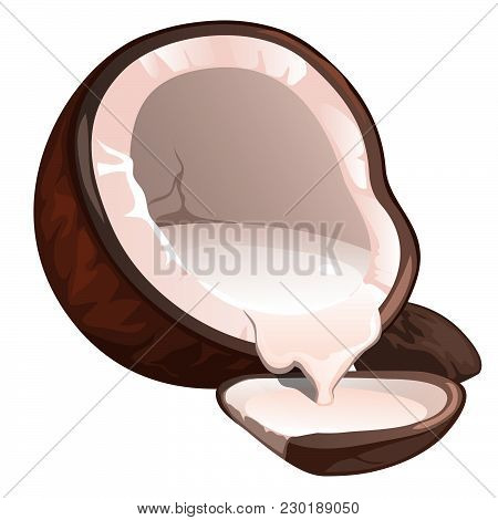 Broken Coconut Isolated On White Background. Vector Cartoon Close-up Illustration.