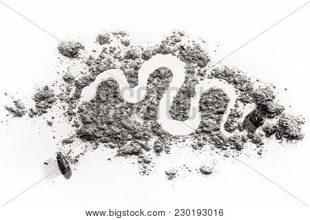 Snake, Serpent, Boa Or Python Silhouette Drawing In Ash, Sand Or Dust As Endangered Animal Species, 
