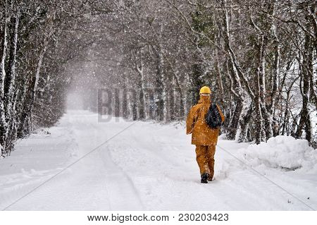 Bannow County Wexford Ireland In March 2 2018; Man Walking On Winter Road Covered In Snow.
