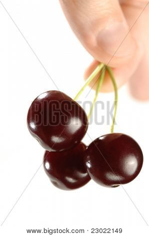 Três cerejas em um close-up de mão isolaram no fundo branco