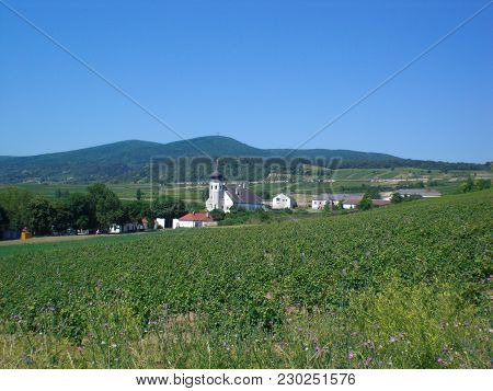 Thallern, Rural Settlement, Lower-austria, Oak-hill, Summertime, Church And Houses, Farms, Anninger 
