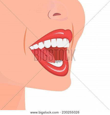 Open Mouth With White Teeth. Snow-white Smile. Upper And Lower Jaw. The Image For Stomatology With H