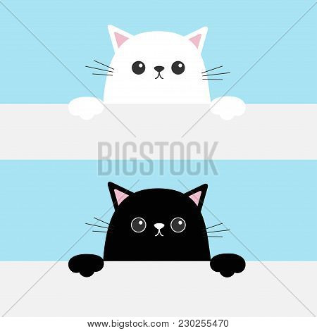 Black White Funny Cat Head Face Hanging On Paper Board Template. Kitten Body With Paw Print. Cute Ca