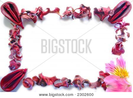 Frame Of Dried Leaves, Nuts And Flower