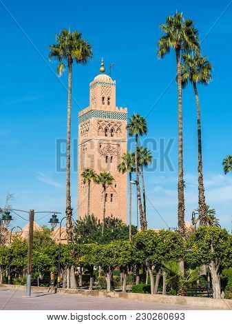Palm Trees In Front Of The Koutoubia Mosque (kutubiyya Mosque) - The Largest Mosque In Marrakesh, Mo
