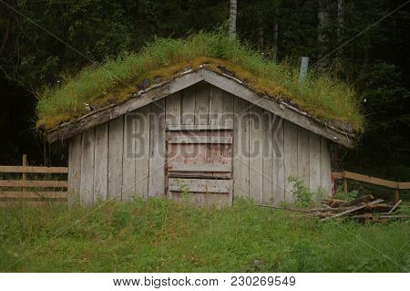 Small Wooden House Somewhere In Norway Forrest