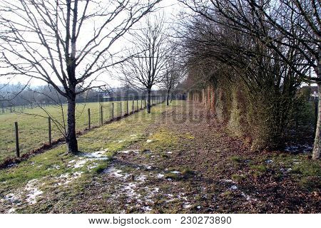 View Of A Rural Landscape In Winter