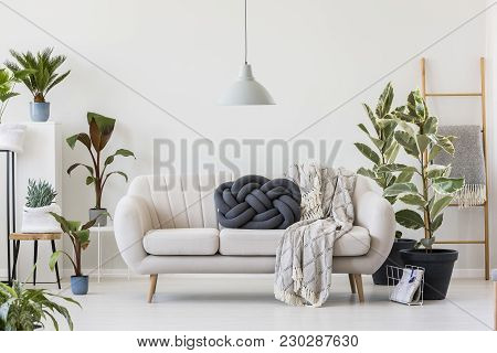 Knot Pillow On White Sofa