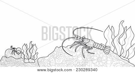 Anti Stress Crawfish Coloring Book For Adults. Crustacean On The Bottom Of The River. Cancer Or Shri