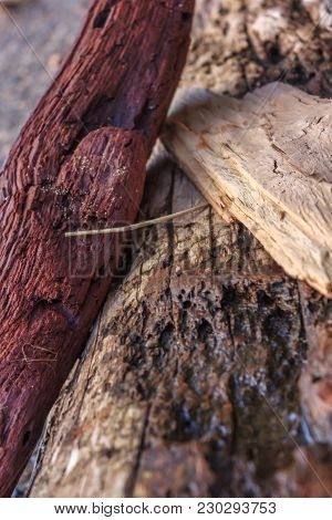 Driftwood Piled Up On Washington State Coast