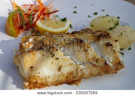 Scabbardfish - Espada Preta - Aphanopus Carbo - Special Seafood Of Madeira