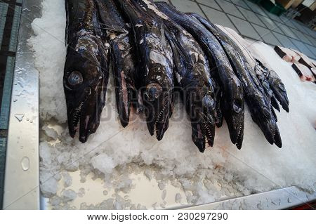 Scabbardfish - Espada Preta - Aphanopus Carbo - Special Seafood Of Madeira