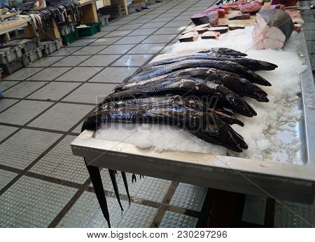 Scabbardfish - Espada Preta - Aphanopus Carbo - Special Seafood Of Madeira