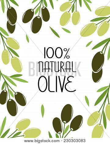 Olive Product Label Tepmlate. Vector Frame For Package Design