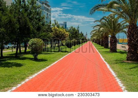 The Red Bicycle Path In The City Of Batumi