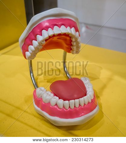 Standard Dental Model With Wide Open Showing Healthy Tongue, Teeth And Gum On Yellow Table.