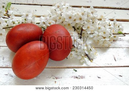 Easter Eggs And Cherry Twigs