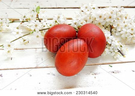 Easter Eggs And Cherry Twigs