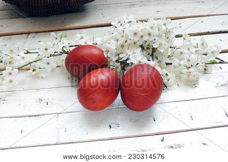 Easter Eggs And Cherry Twigs