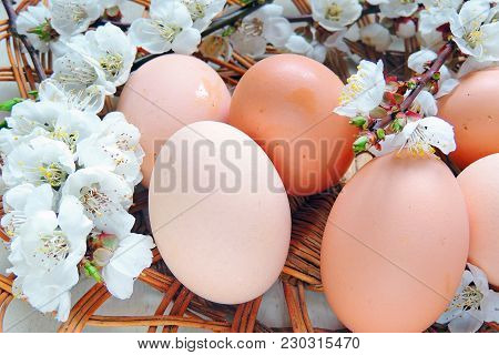 Easter Eggs And Cherry Twigs
