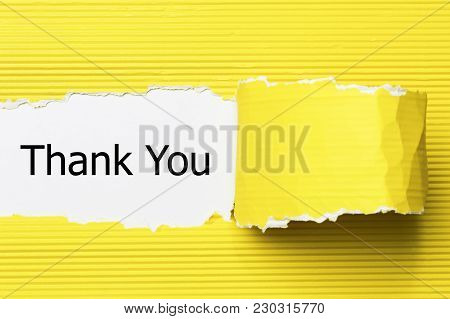 Thank You Word Written Under Torn Paper