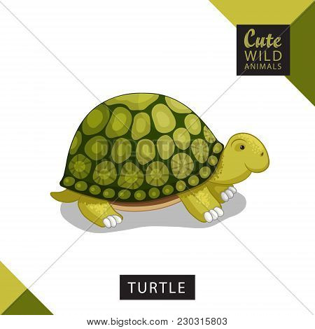 A Cute Turtle. Vector Illustration From Wild Animals Series. A Picture For Children's Educational Bo