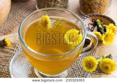 Fresh Coltsfoot (tussilago Farfara) Flowers With Coltsfoot Tea On A Table