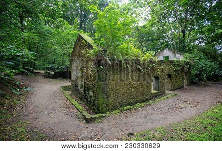 Martinique Island. Ruines Of A Sugar - Rhum Factory Near Anse Couleuvre, Martinique, Caribbeans.