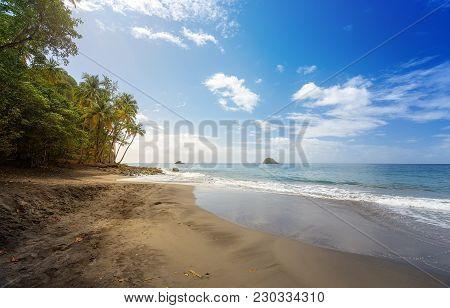 Travel Caribbean: Black Sand Beach On Anse Couleuvre, Martinique, Caribbean