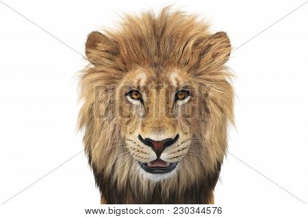 Lion Head Wild Beige And Orange Hair, Close View. 3d Rendering