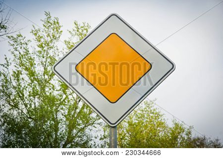Sign Main Road And Tree Branches