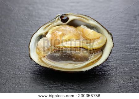 opened the shell of hokkigai (sakhalin surf clam) , japanese bivalve