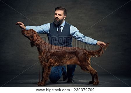 Stylish Bearded Middle Age Male And His Mammals Friend Irish Red Setter.