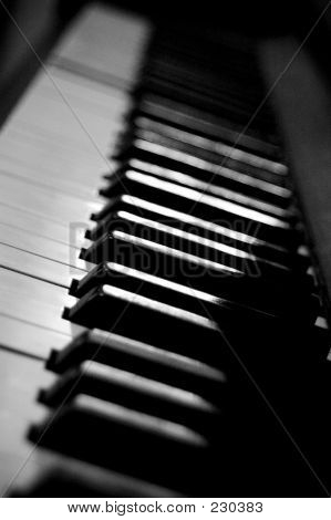 Piano Keys Vertical
